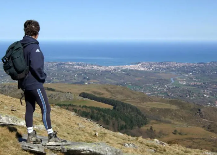 Mobil-home 5 Pers. Terrasse Authentique - Api-1-52-1688